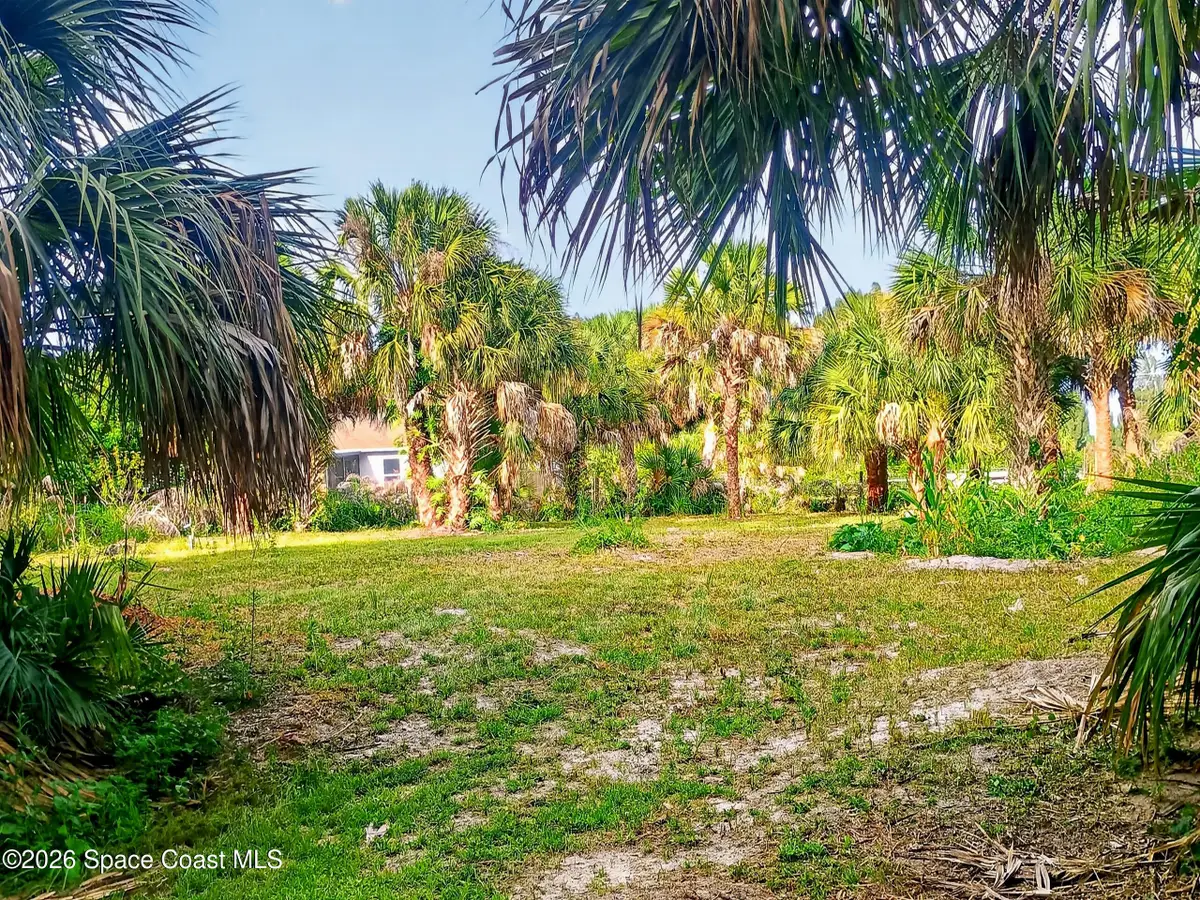 2859 Basil Avenue Sw, Palm Bay, FL 32908 - #1