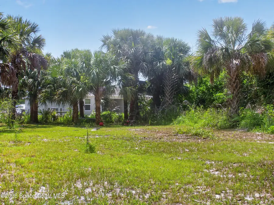 2859 Basil Avenue Sw, Palm Bay, FL 32908 - #2