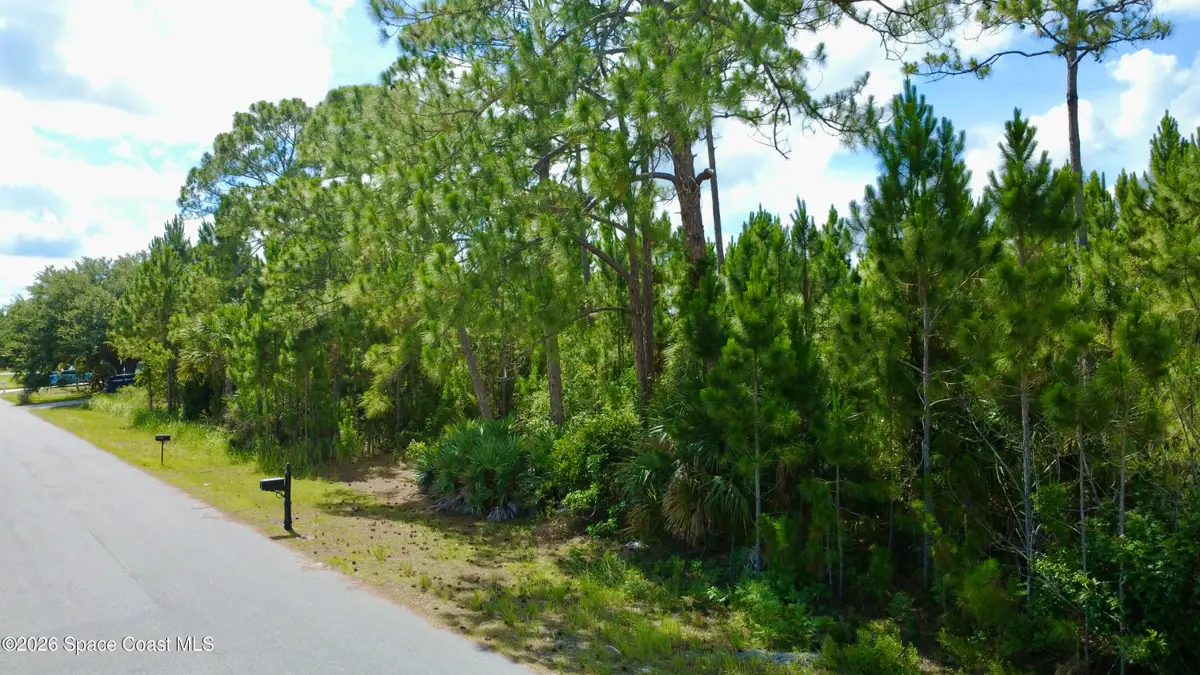 455 Dadeville Street Se, Palm Bay, FL 32909 - #1