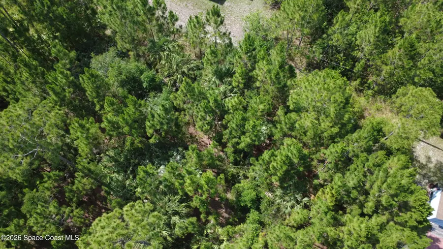 455 Dadeville Street Se, Palm Bay, FL 32909 - #2
