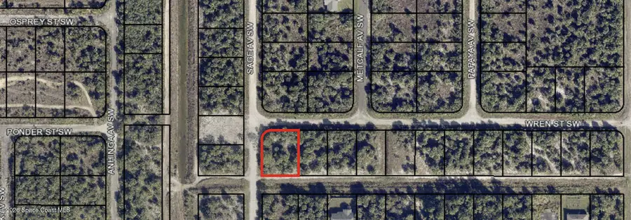 000 SW Corner Sage Ave And Wren Street, Palm Bay, FL 32908 - #2