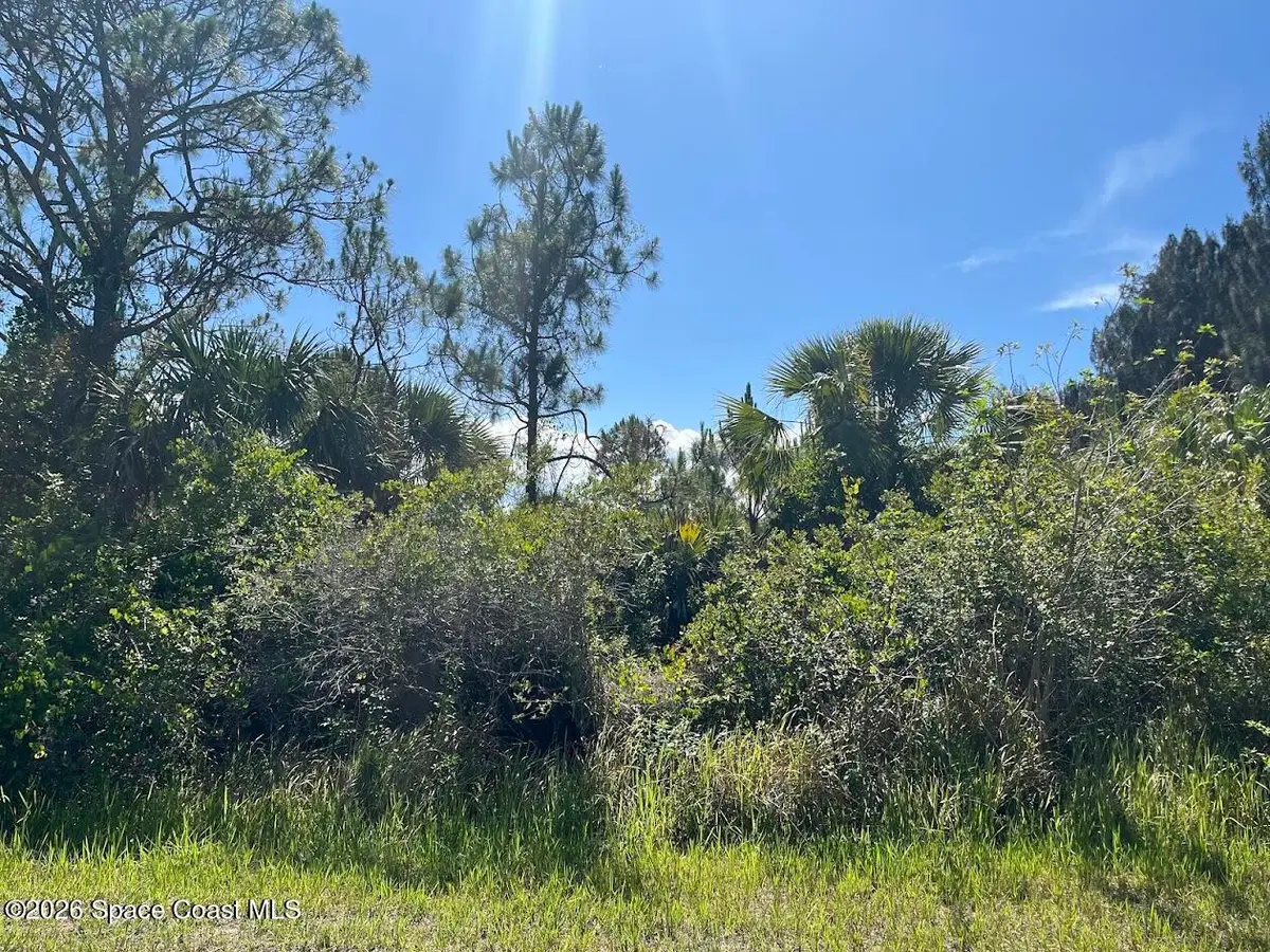2764 Valentine Avenue Sw, Palm Bay, FL 32908 - #1