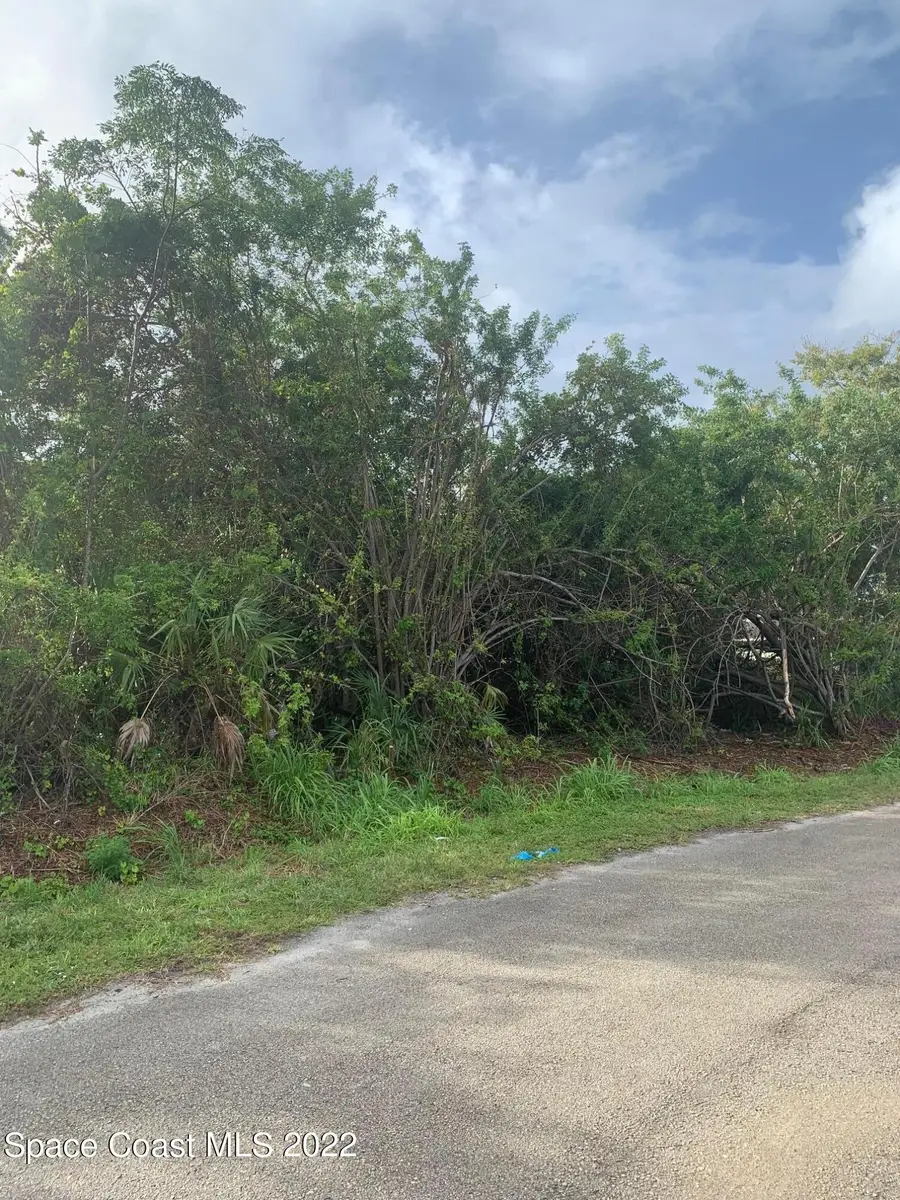 388 Dunlap Avenue Se, Palm Bay, FL 32909 - #2