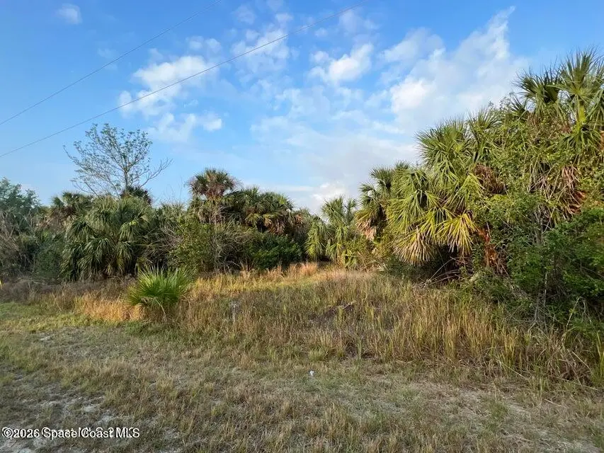 2044 Alwar Avenue Sw, Palm Bay, FL 32908 - #1