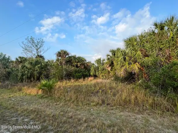 2044 Alwar Avenue Sw, Palm Bay, FL 32908