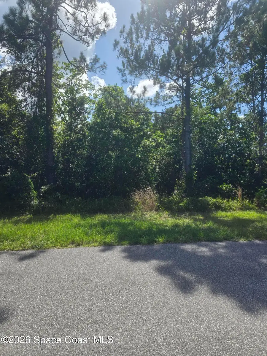 3906 Rambling Acres Drive, Titusville, FL 32780 - #2