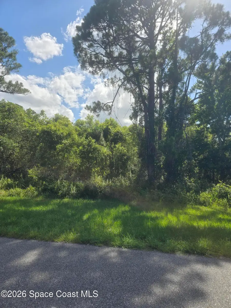 3912 Rambling Acres Drive, Titusville, FL 32796 - #3