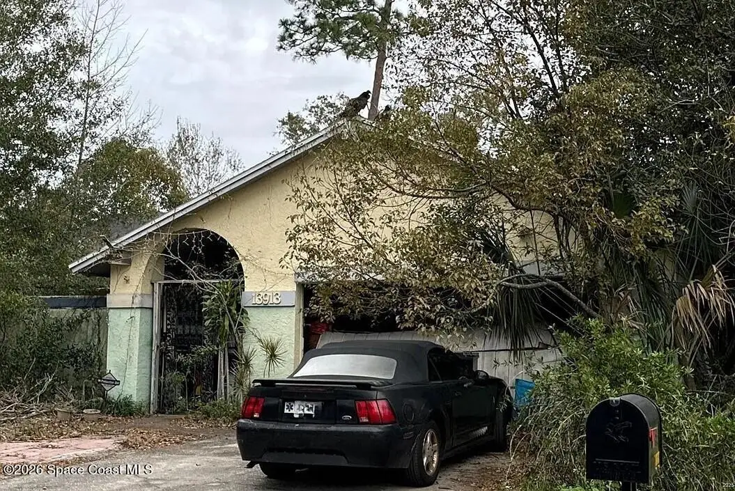 13913 Cherry Creek Drive, Tampa, FL 33618 - #1