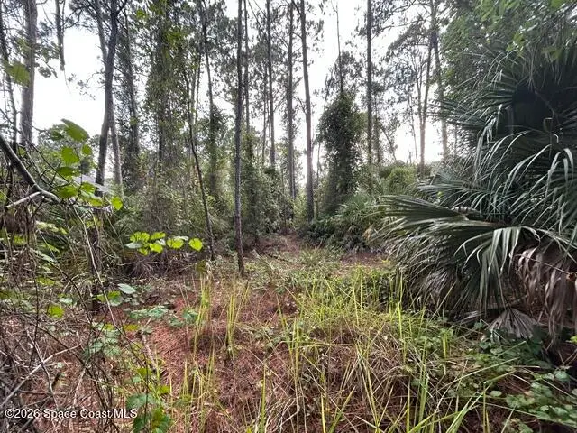 258 Krassner Drive Nw, Palm Bay, FL 32907 - #3