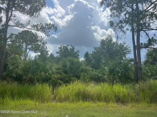 541 Windswept Avenue Sw, Palm Bay, FL 32908