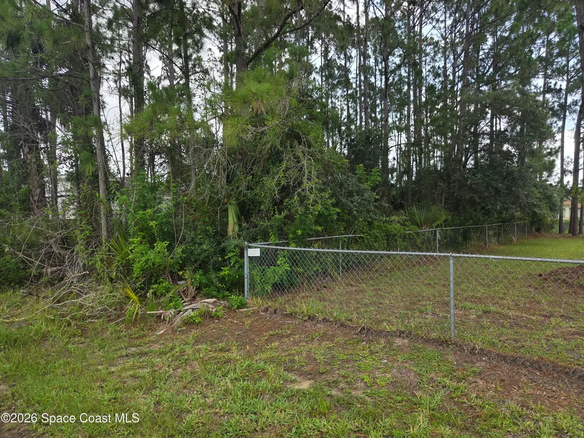 465 Tillman Avenue Sw, Palm Bay, FL 32908 - #1