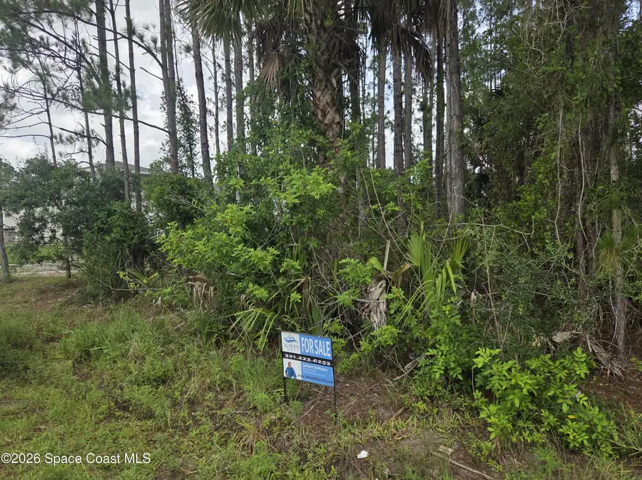 465 Tillman Avenue Sw, Palm Bay, FL 32908 - #3