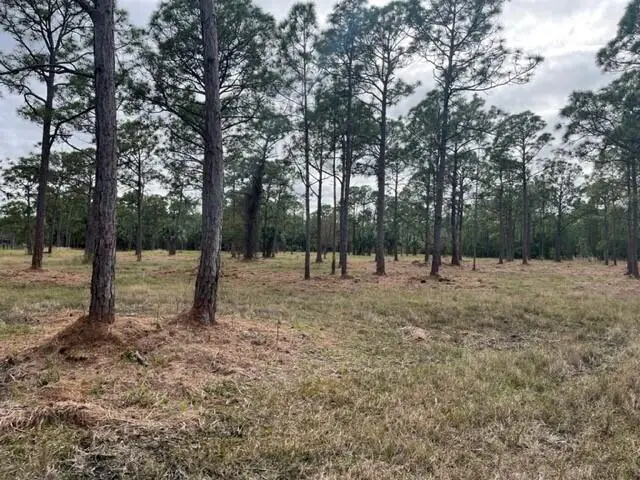 0000 Govan Avenue, Malabar, FL 32950 - #1