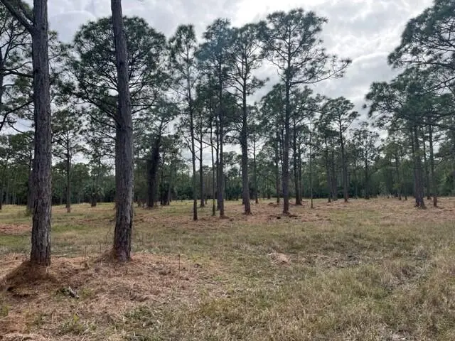 0000 Govan Avenue, Malabar, FL 32950 - #3