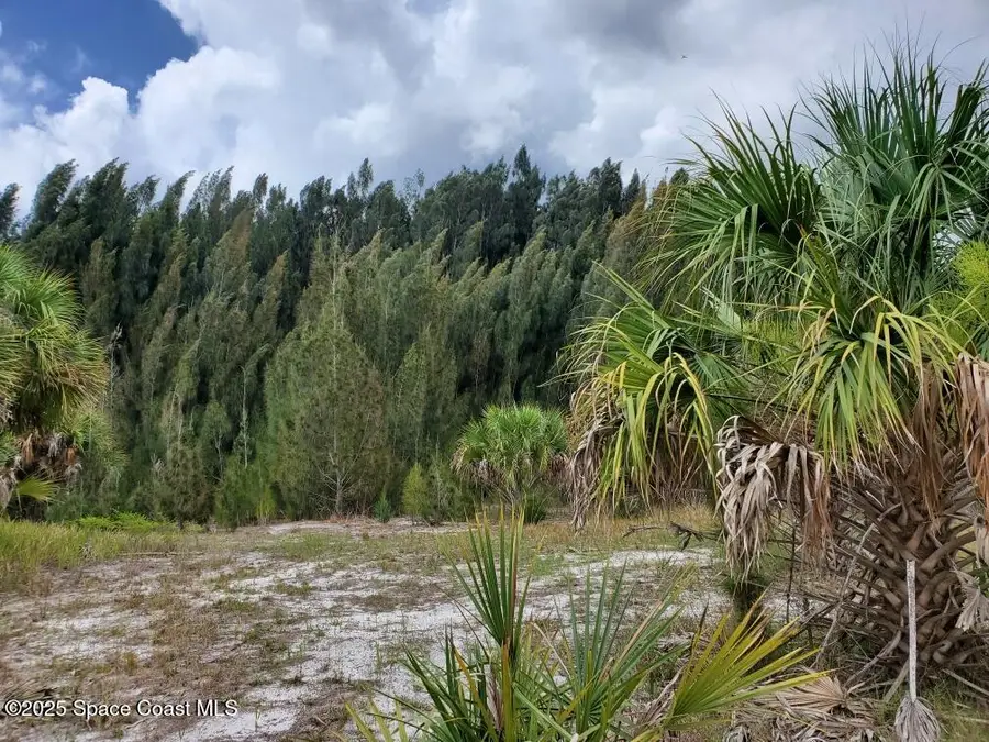 2345 Bolton Avenue Sw, Palm Bay, FL 32908 - #2