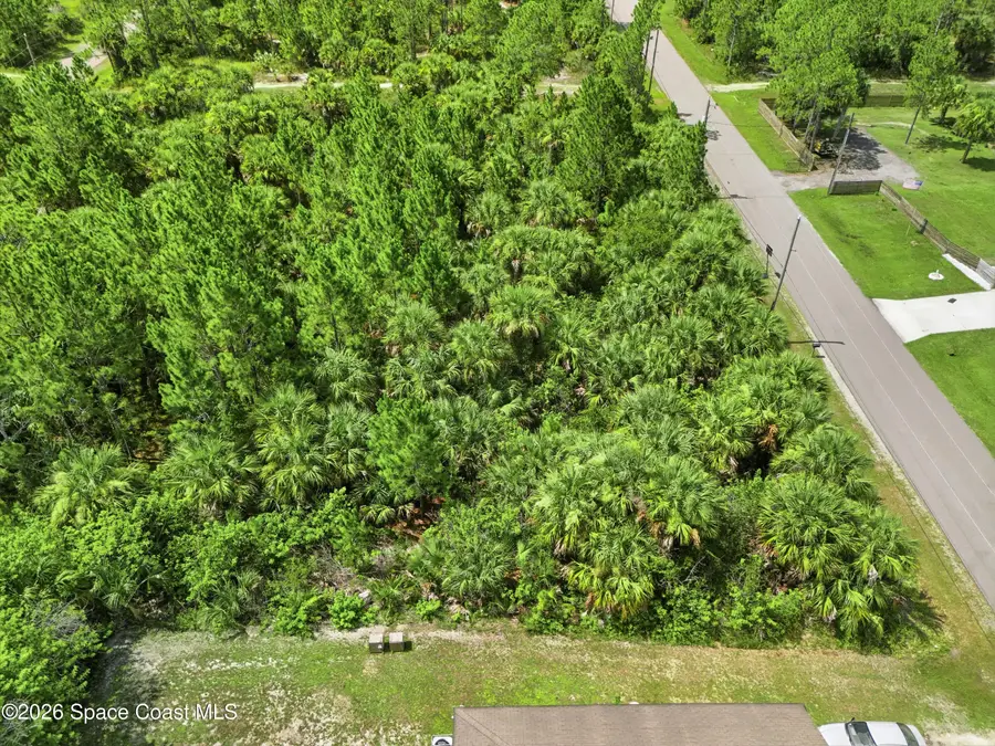 3133 Frantz Avenue Sw, Palm Bay, FL 32908 - #3