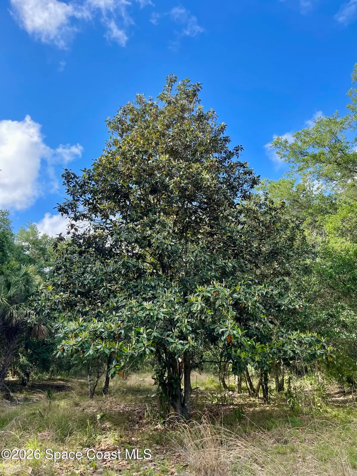 00 Willowbrook Drive, Palm Bay, FL 32909 - #1