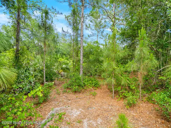 1261 Rainbow Road Se, Palm Bay, FL 32909 - #3