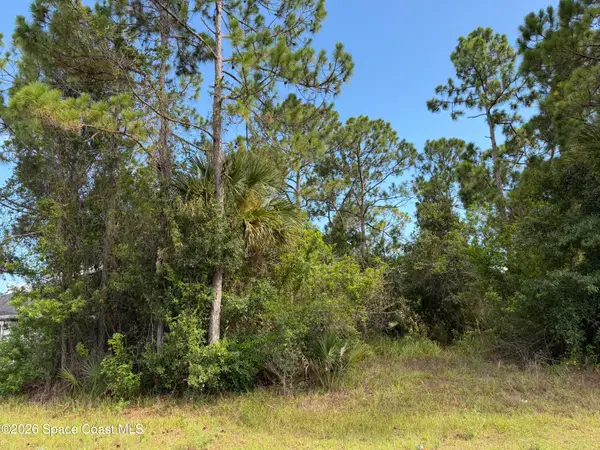 798 Altamira Street Nw, Palm Bay, FL 32907