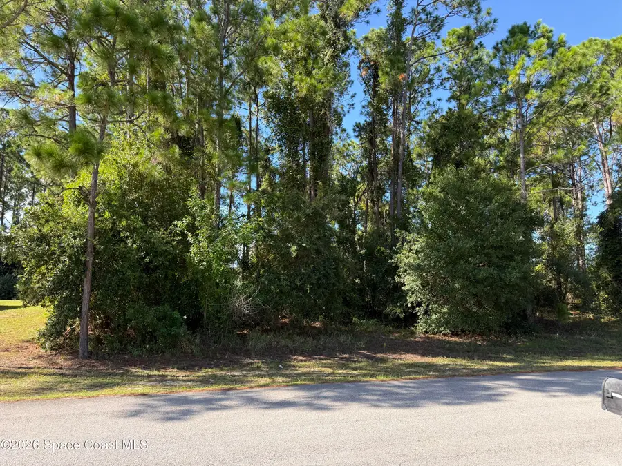 1234 Scranton Street Sw, Palm Bay, FL 32908 - #2