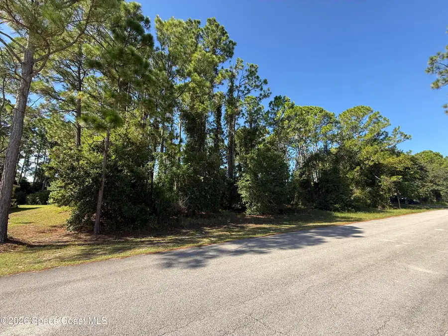 1234 Scranton Street Sw, Palm Bay, FL 32908 - #3
