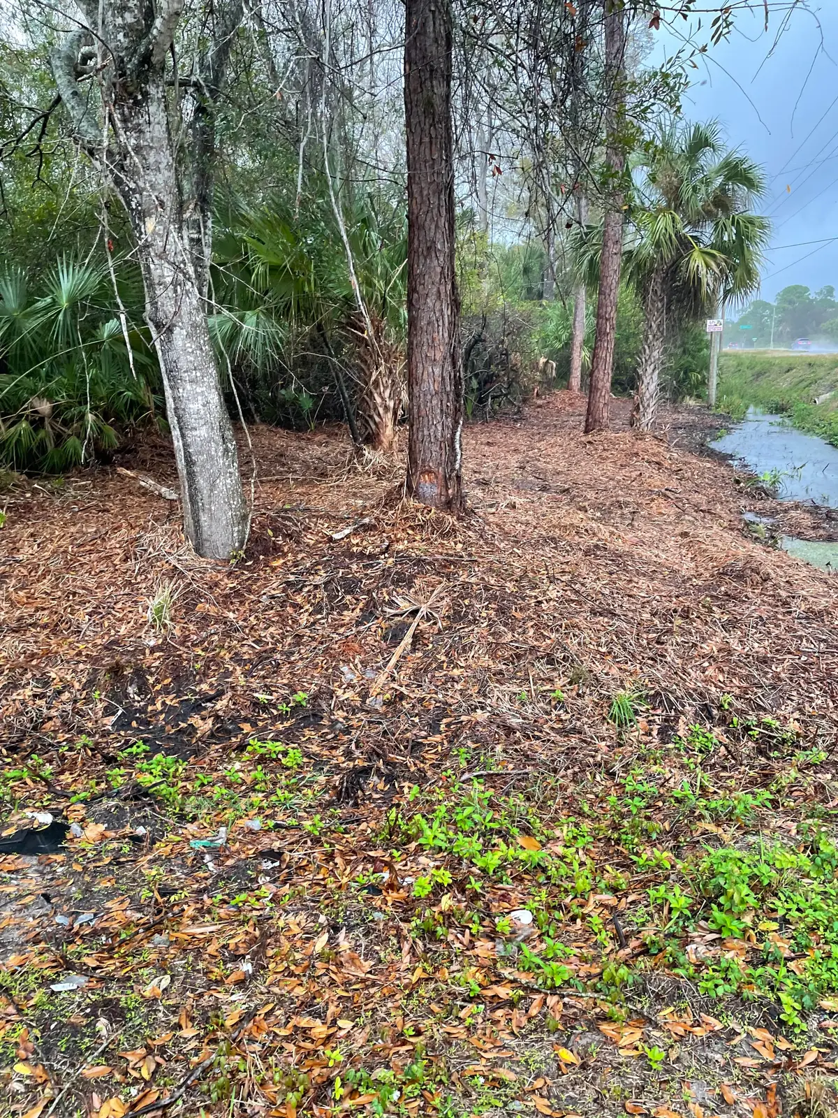 1691&1699 Sandusky Street Se, Palm Bay, FL 32909 - #1