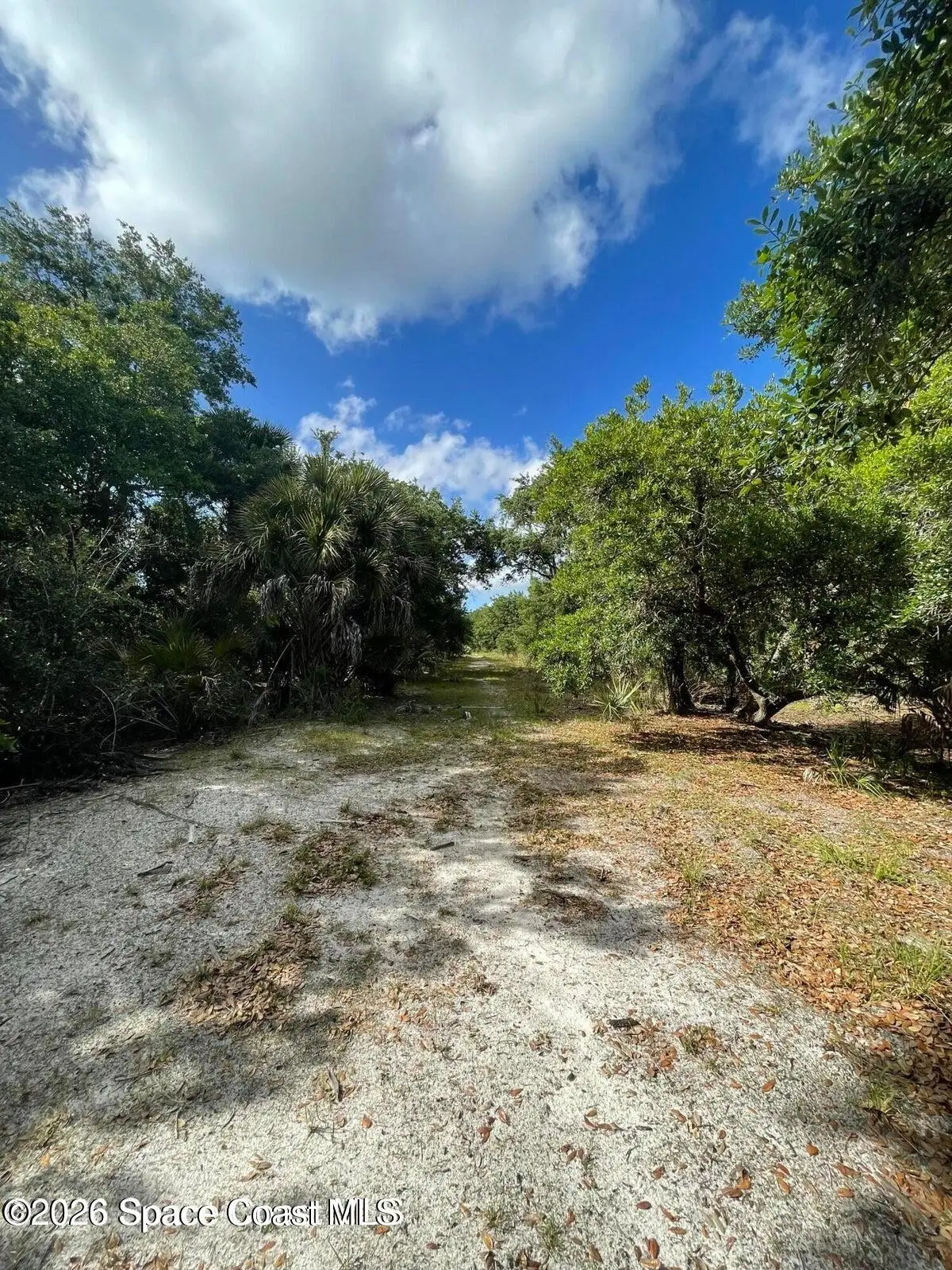 00000 Willowbrook Drive, Palm Bay, FL 32909 - #1