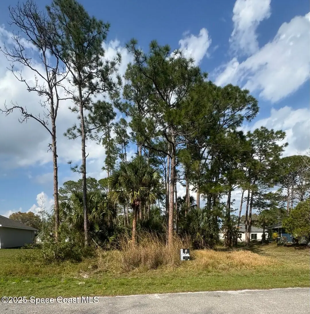 443 Wayland Road Sw, Palm Bay, FL 32908 - #1
