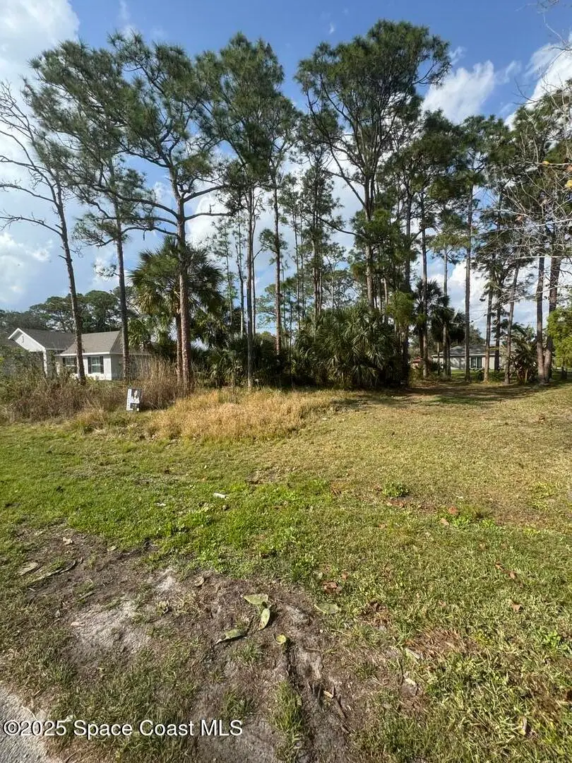 443 Wayland Road Sw, Palm Bay, FL 32908 - #3