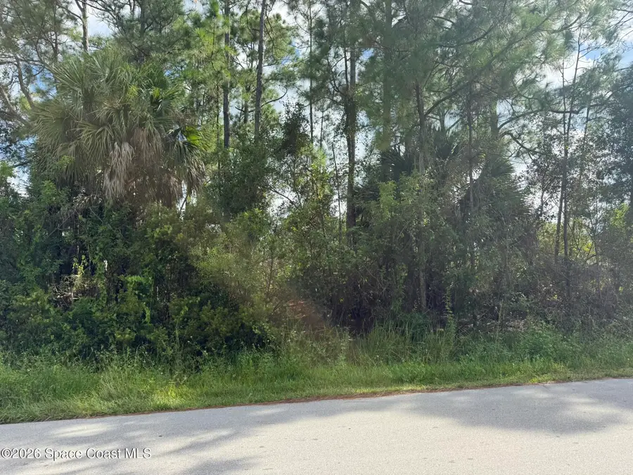 00 Sanford St / Trilby Rd Street Sw, Palm Bay, FL 32908 - #3
