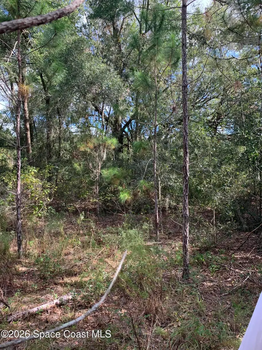 0 Co Rd 337, Bell, FL 32619 - #3