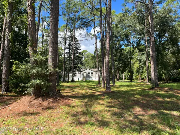 4125 Luciano Avenue, Cocoa, FL 32926