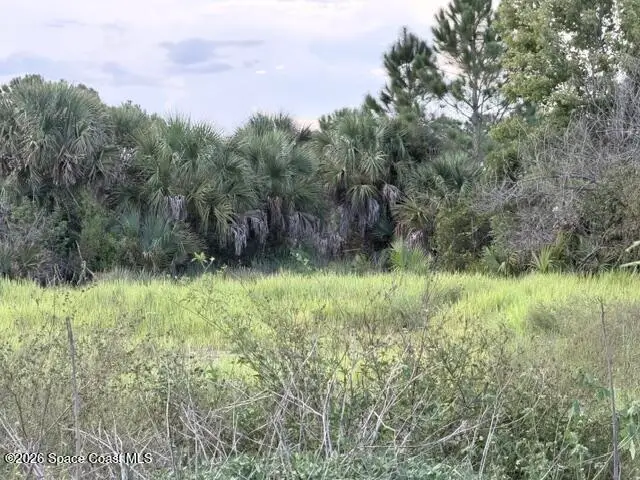 3001 Elk Court Sw, Palm Bay, FL 32908 - #2