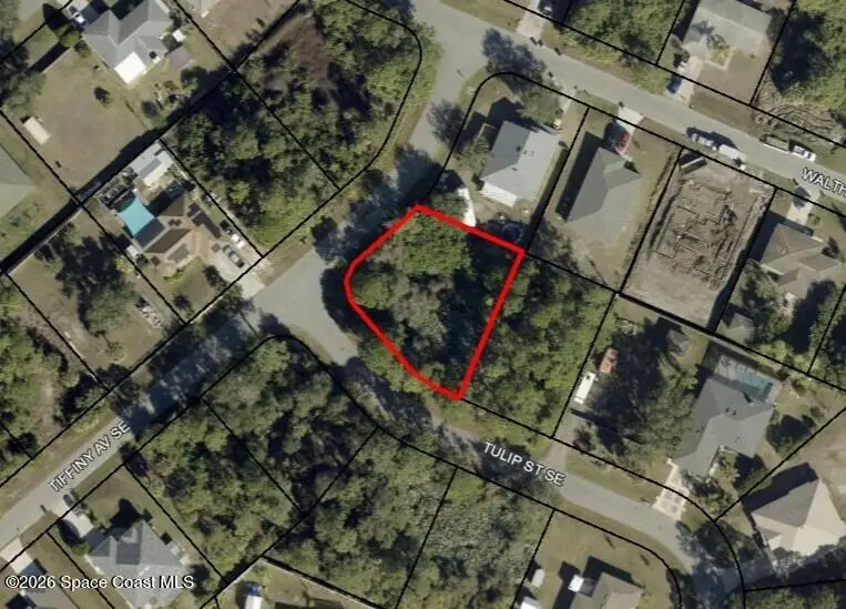 1201 Tulip Street Se, Palm Bay, FL 32909 - #1