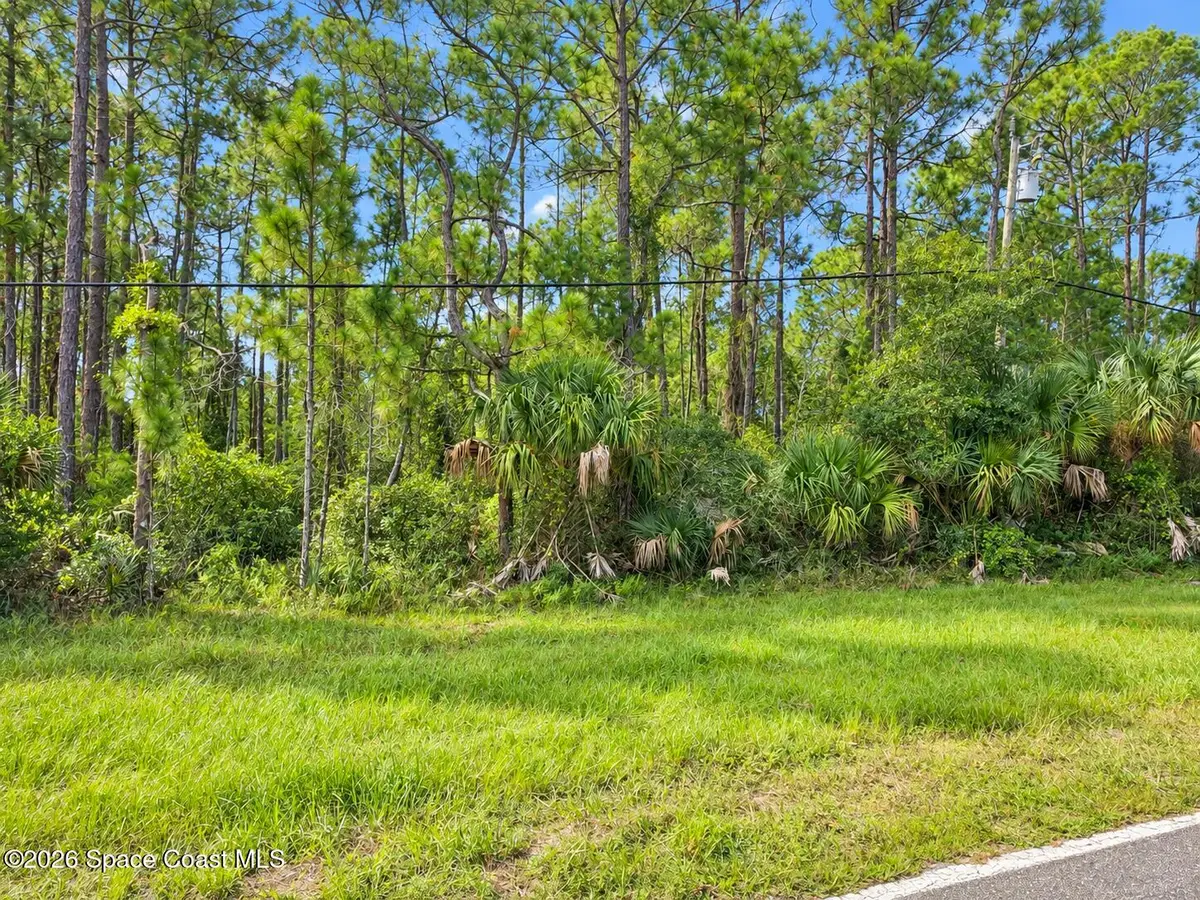 0000 Fox Lake Road, Titusville, FL 32780 - #1