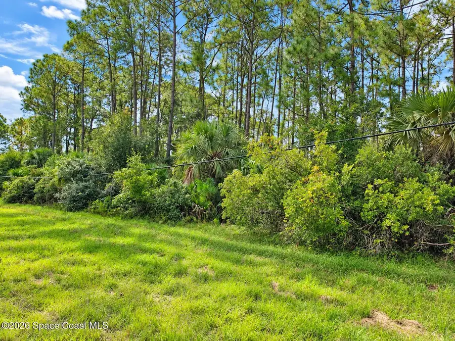 0000 Fox Lake Road, Titusville, FL 32780 - #2