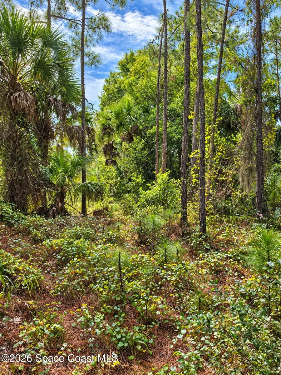 0000 Fox Lake Road, Titusville, FL 32780 - #3