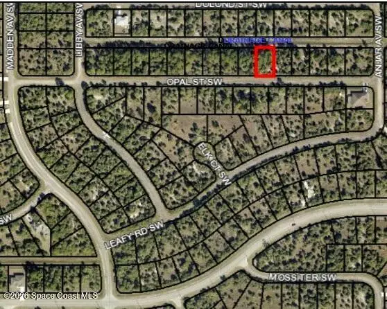 671 Opal Street Sw, Palm Bay, FL 32908