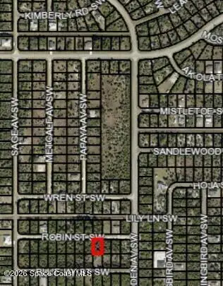 830 SW Robin Street Sw, Palm Bay, FL 32908 - #2