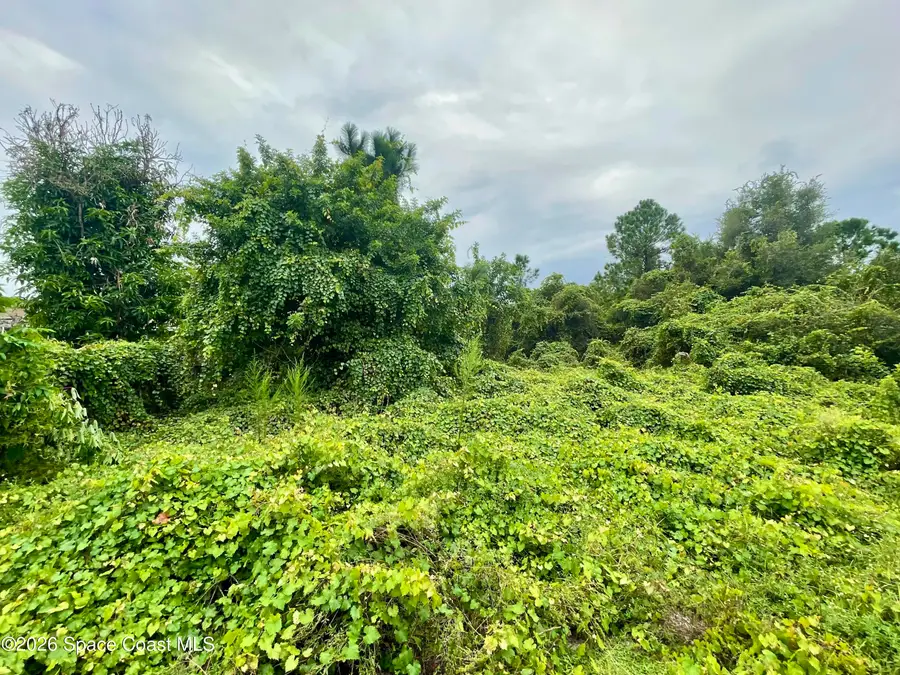 840 Andrew Street Se, Palm Bay, FL 32909 - #3