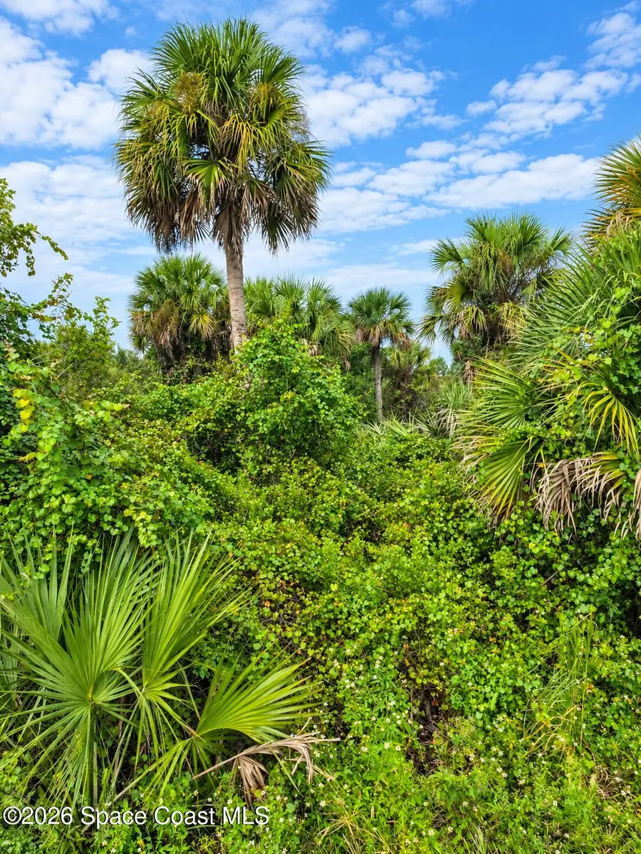 0000 Highway 1, Mims, FL 32754 - #2