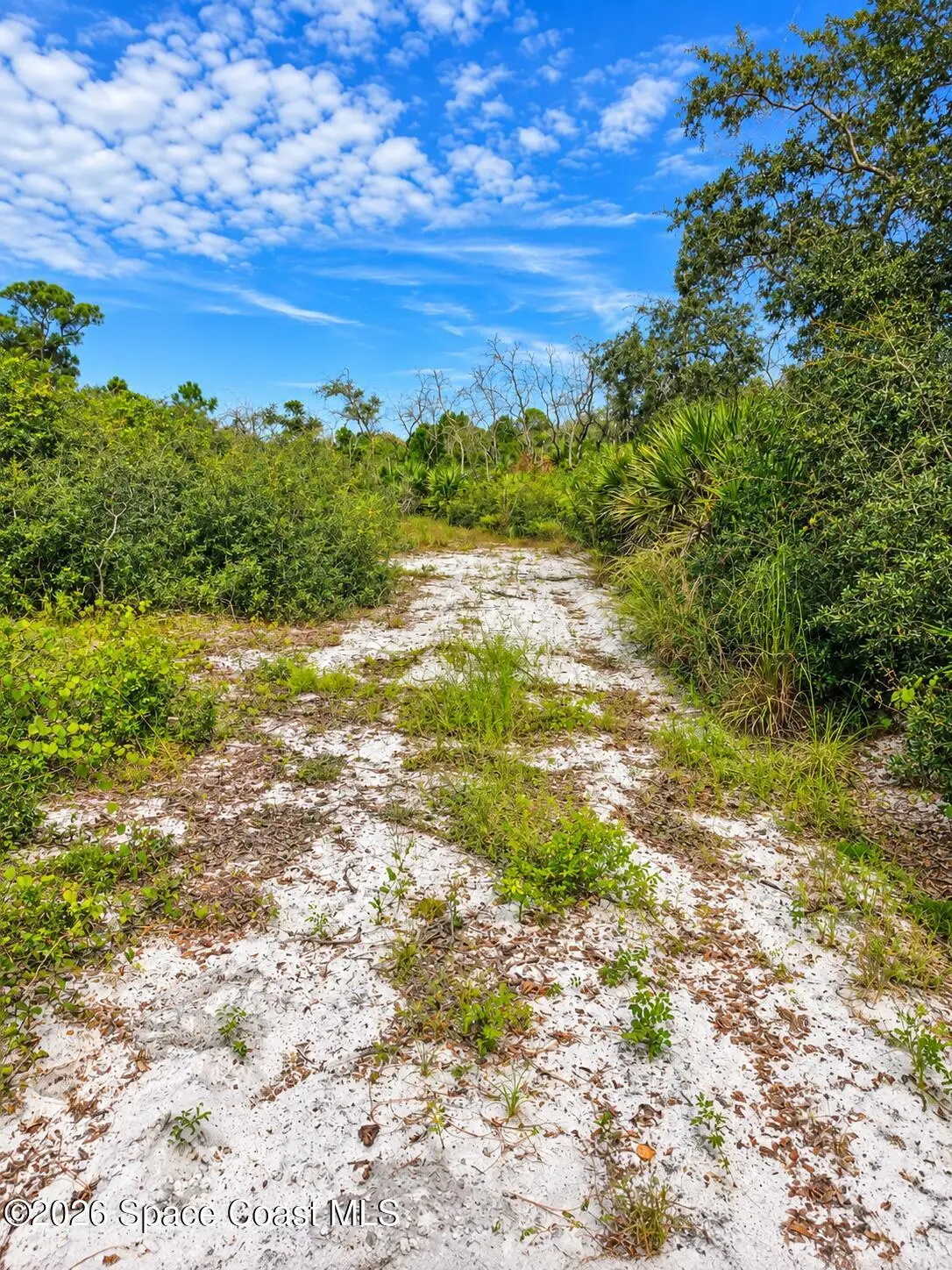 0000 Highway 1, Mims, FL 32754 - #1