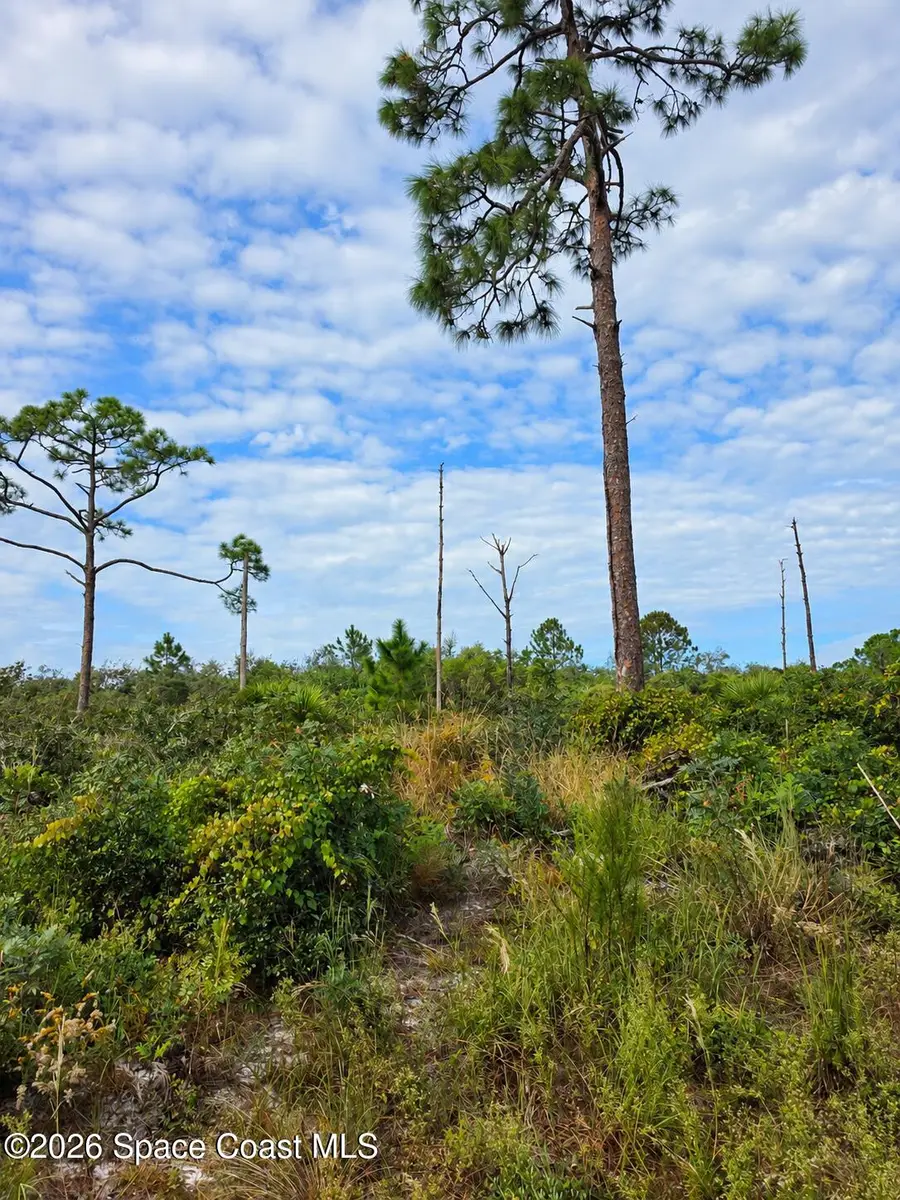 0000 Highway 1, Mims, FL 32754 - #2