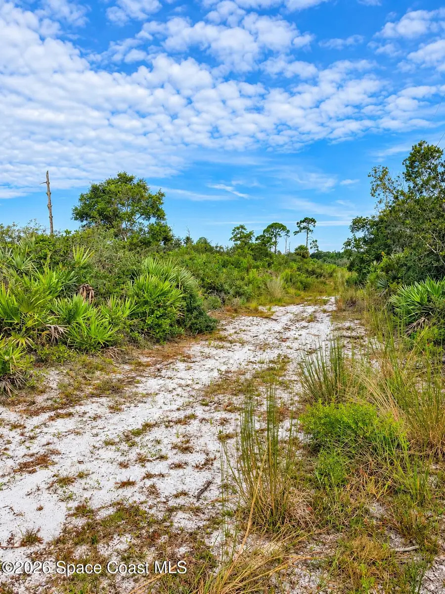 0000 Highway 1, Mims, FL 32754 - #3
