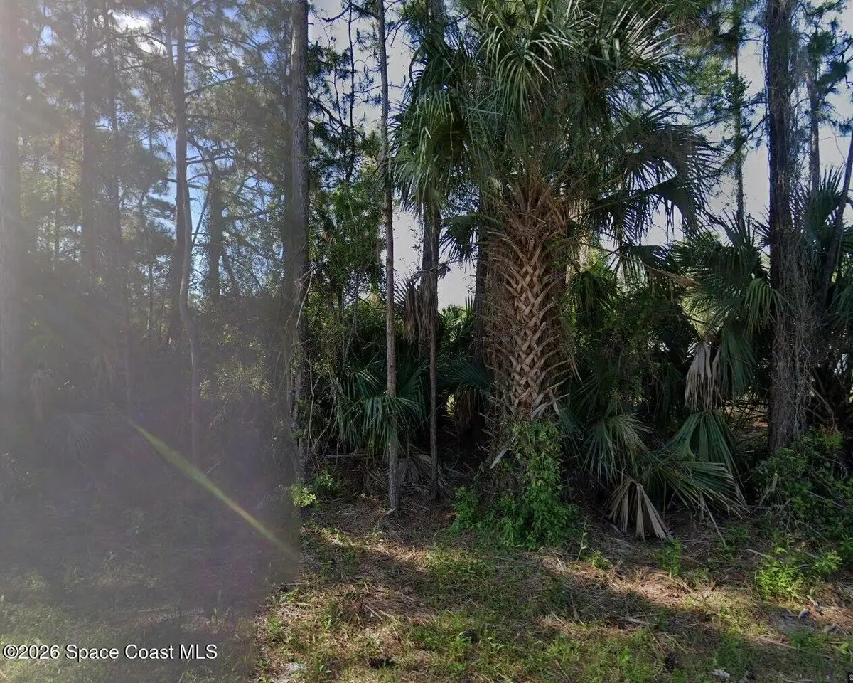 114 Lafleur Street Sw, Palm Bay, FL 32908 - #1