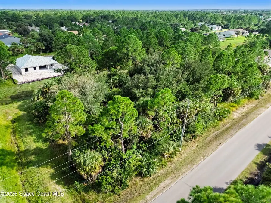 2901 Fitzpatrick Avenue Sw, Palm Bay, FL 32908 - #2