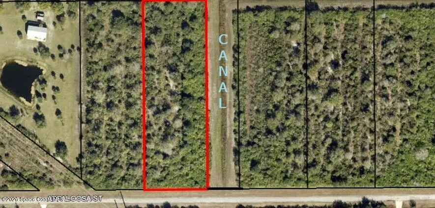 314 Appaloosa Street, Palm Bay, FL 32909 - #1