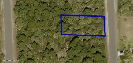 3278 La France Avenue Sw, Palm Bay, FL 32908 - #2