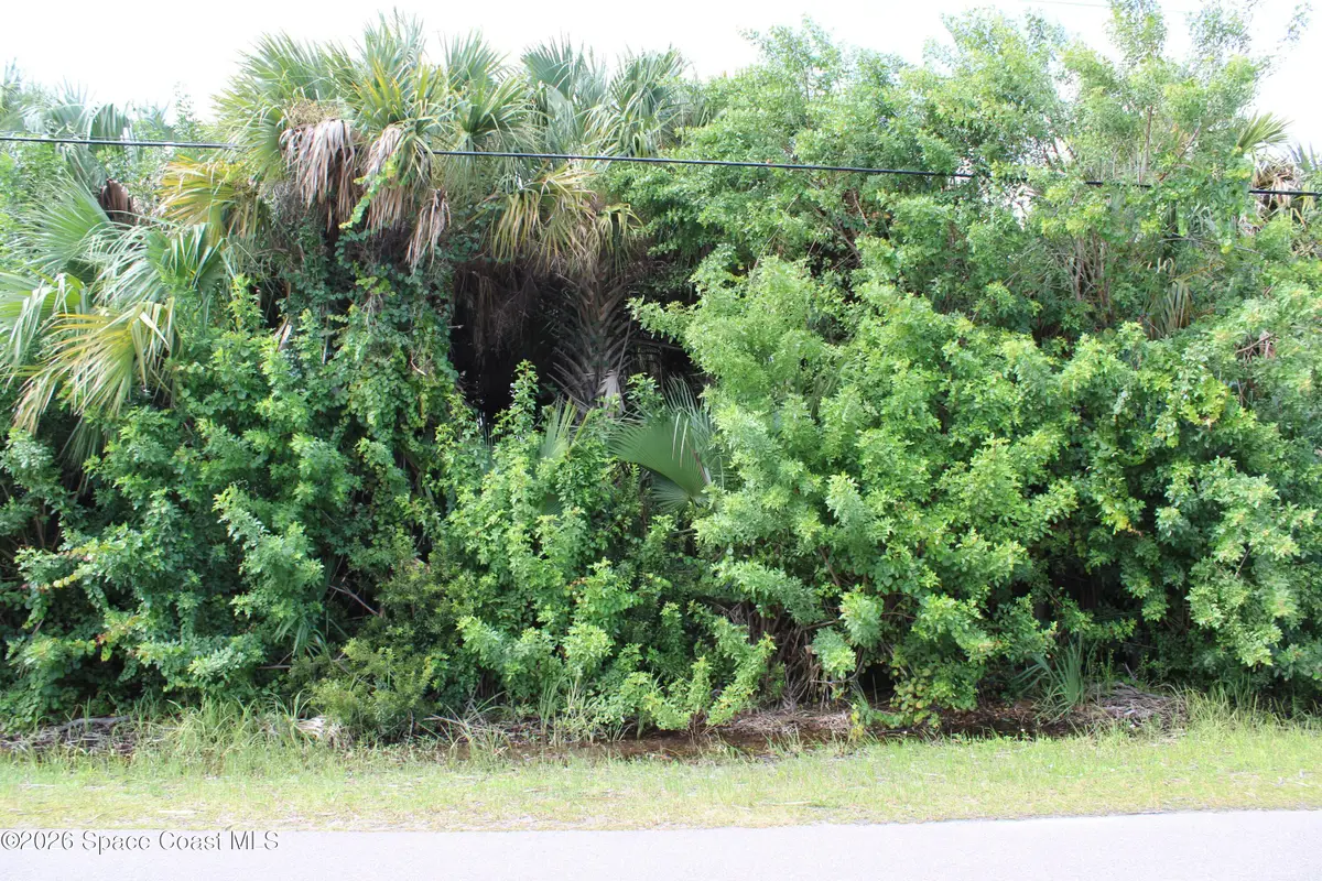3138 Framingham Avenue Sw, Palm Bay, FL 32908 - #1