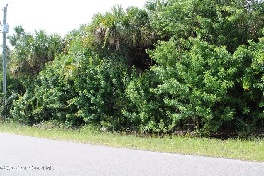 3138 Framingham Avenue Sw, Palm Bay, FL 32908 - #2